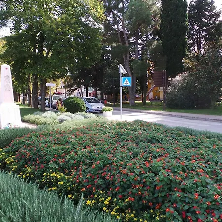 Apartman 10