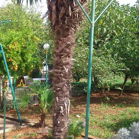 10 Apartman Medulin